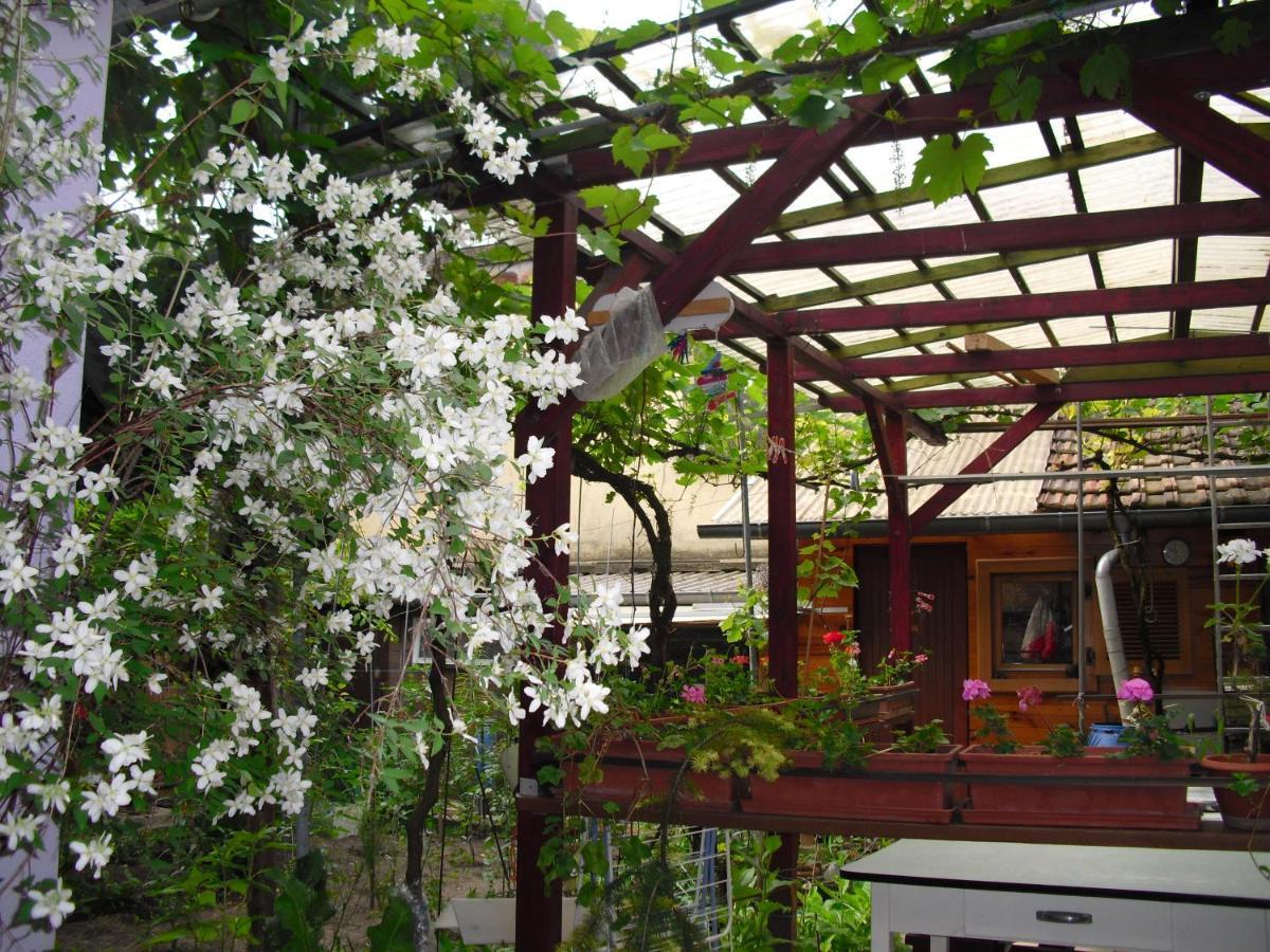 La Baraque Villa Colmar Buitenkant foto